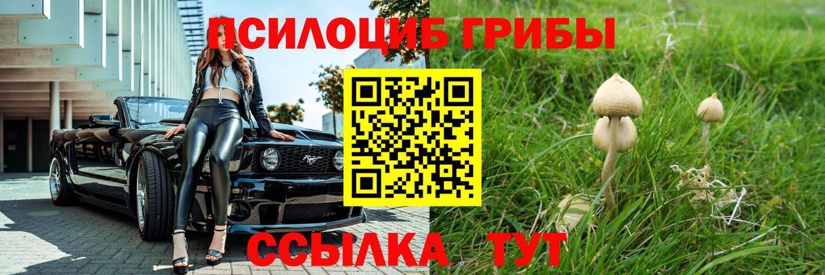 Балахна  Галлюциногенные грибы Psilocybe  Вход с VPN 