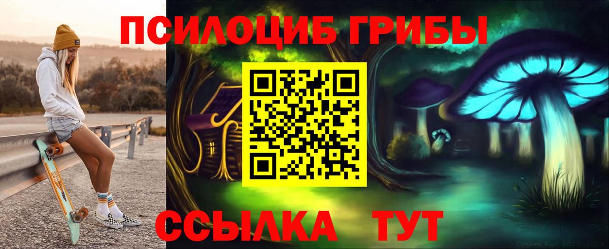 Псилоцибиновые грибы GOLDEN TEACHER Балахна